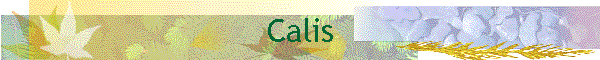 Calis