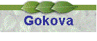 Gokova
